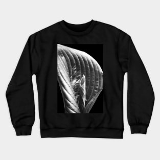 Hosta unfolding... Crewneck Sweatshirt